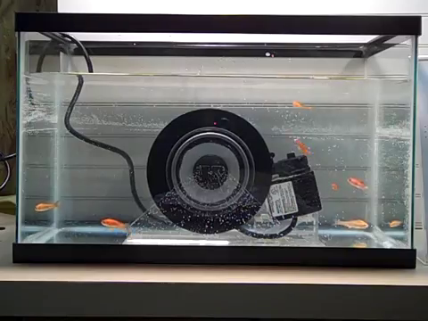 See the Groovmaster® keep a record label dry... in a fish tank!